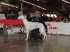  - exposition internationale de Perpignan spéciale greyhound  